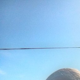 ���������, ������, 35 ���