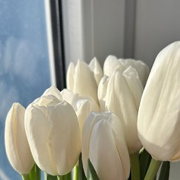 ������������, ������