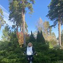 ���� ����, �����������, 62 ���� - ��������� 6 ������� 2025 � ������ ���� ����������