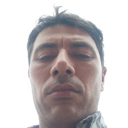 , , 31 