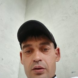 , 33, 