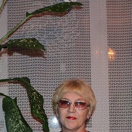 , 61, 