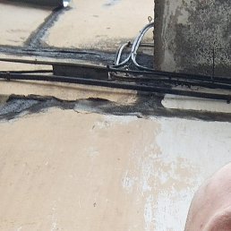 �����, ����, 35 ���