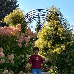 ������, �����-���������, 58 ���