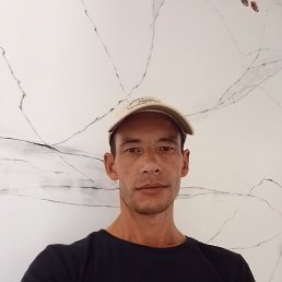 , 41, 