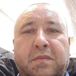 ����������, ���������, 55 ���