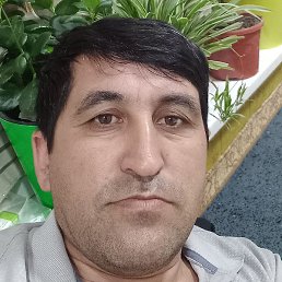 �����, ������, 44 ����