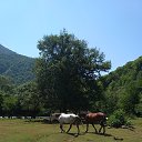 ���� ����, ��������, 50 ��� - ��������� 11 ������ 2023 � ������ ���� ����������