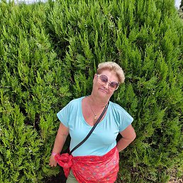 �����, ������, 56 ���