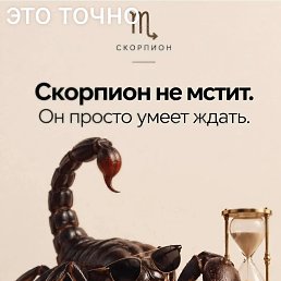 ���� �������, ����-�����������, 60 ��� - ��������� 12 �������� 2026