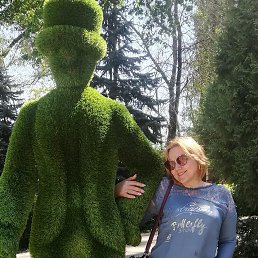 ���� ����, �����, 49 ��� - ��������� 2 ������ 2024