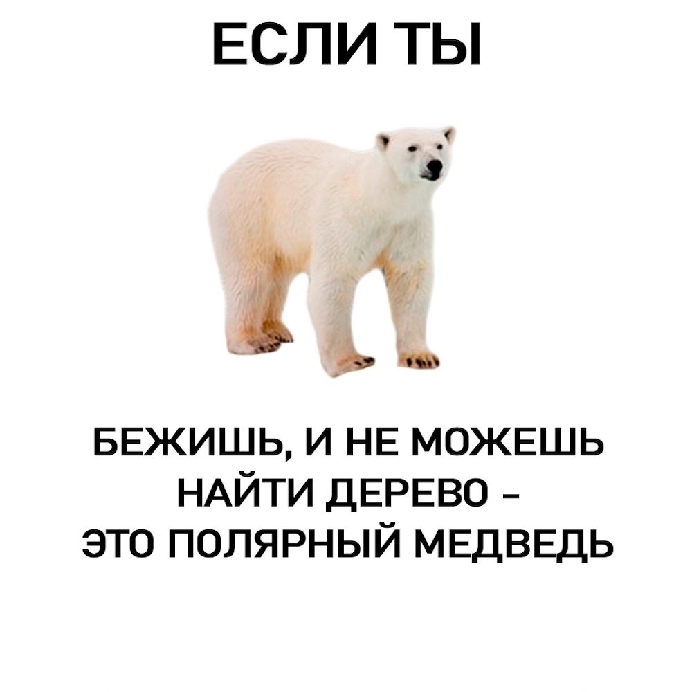   - 3
