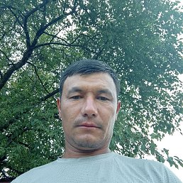 , 32, 