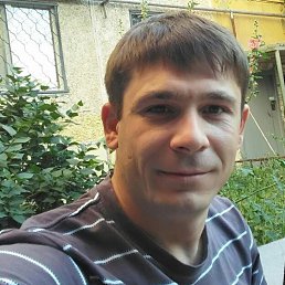 , 37, 