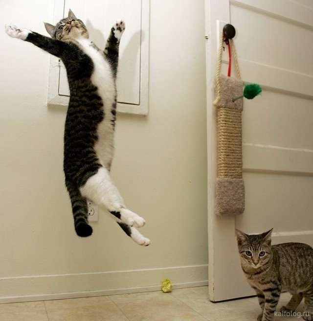  .     )))