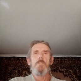 , 65, 