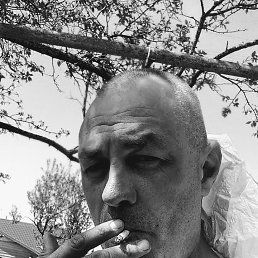, 48, 