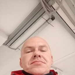 ���� ������, �����, 42 ���� - ��������� 24 ������ 2026