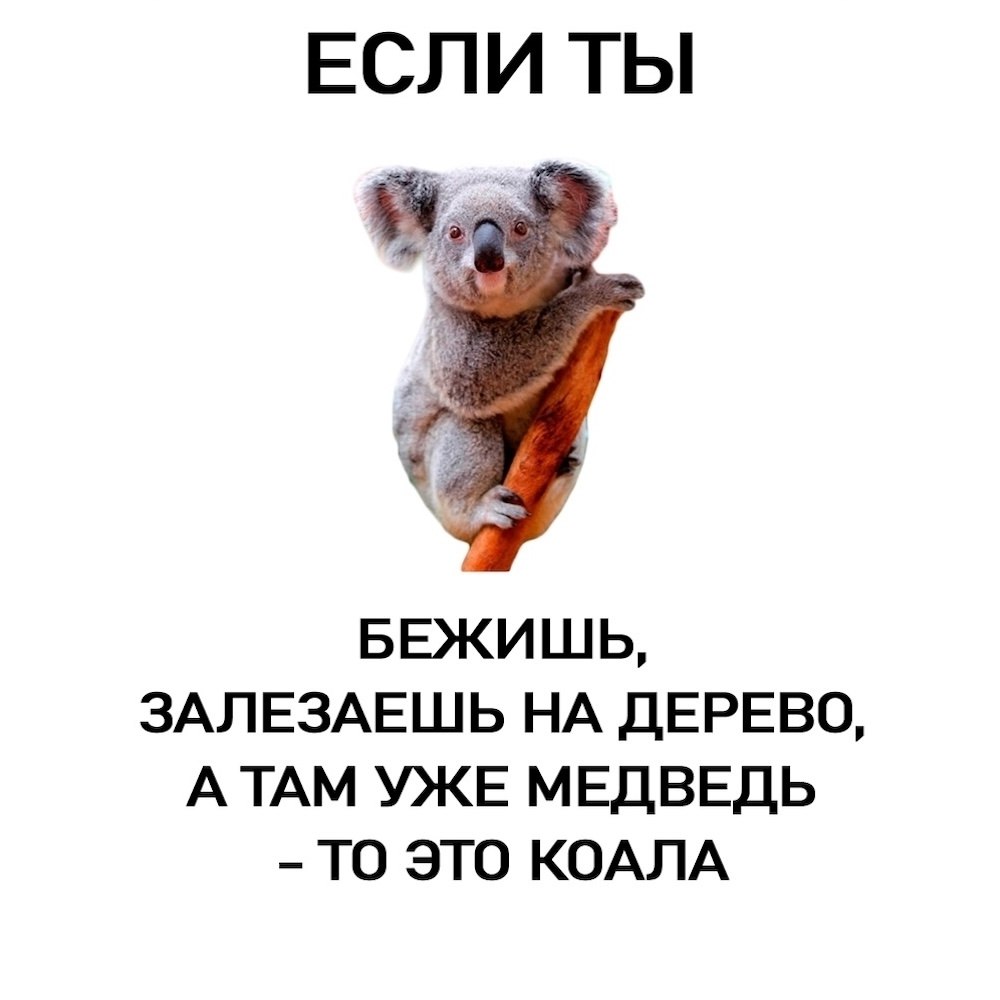   - 4