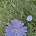 ���� �������, �����������, 44 ���� - ��������� 24 ������� 2024 � ������ ���� ����������