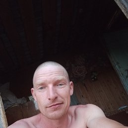 , 33, 
