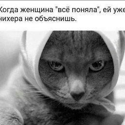 �������, ������������, 26 ���