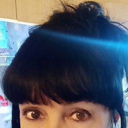 , 53, 