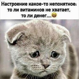 ���� �������, �����, 46 ��� - ��������� 4 ������� 2023