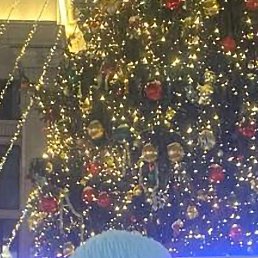 �����, �����