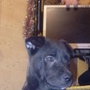 ���� ����, ������-��-����, 37 ��� - ��������� 16 ������� 2025 � ������ ���� ����������