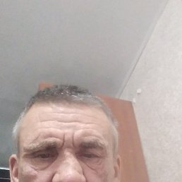 , 52 , 