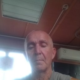 , 57, 