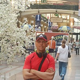 �������, 40 ���, ������