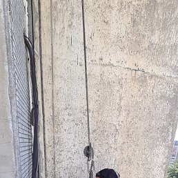 Aslan, 37 ���, ������