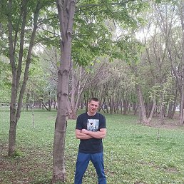 , 37, 
