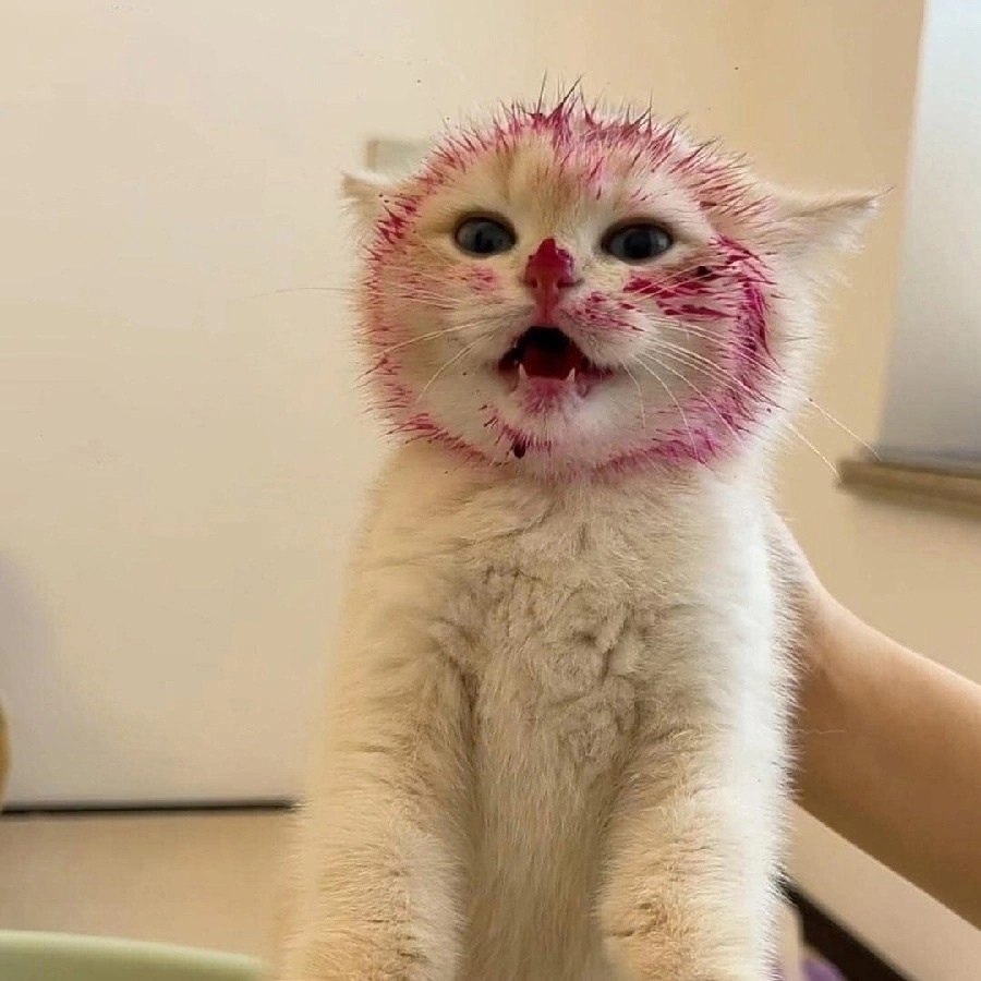 100%  !   ,    ... - 2