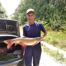 ������, 67 ���, �����