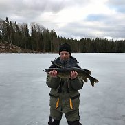 �����, 49 ���, ������