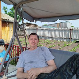 ������, 51 ���, ���������