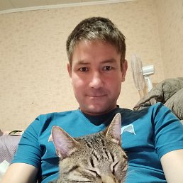 , 41, 