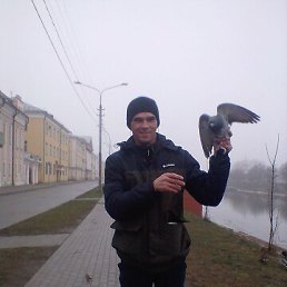 �������, 40 ���, �������