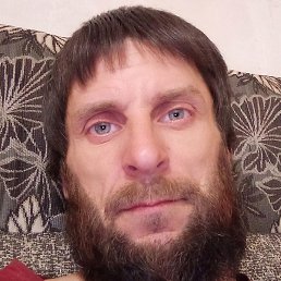 �������, ������, 41 ���