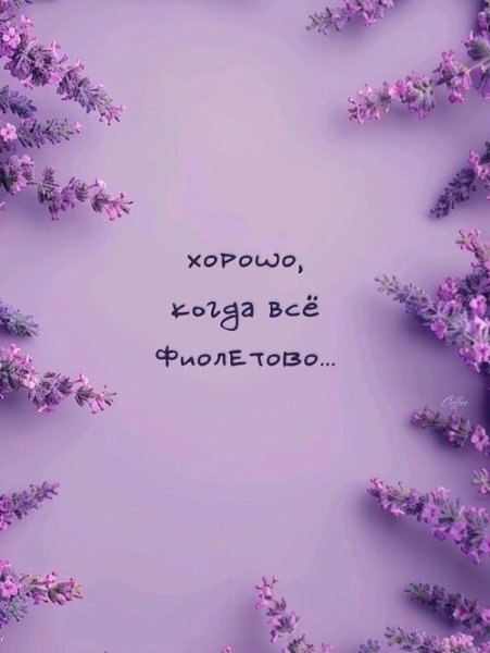 - 28  2025  10:25