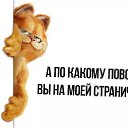 ���� �����, ������, 36 ��� - ��������� 13 �������� 2024 � ������ ���� ����������