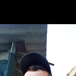 , 37, 