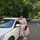 ���� �����, ���������, 73 ���� - ��������� 31 ����� 2024