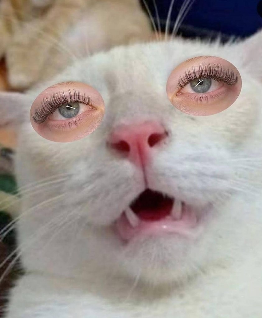 В социальных сетях разгорелся спор вокруг необычного подхода одной мастерицы по наращиванию ресниц, ... - 6