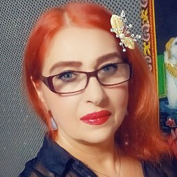 ����, �����������, 48 ���