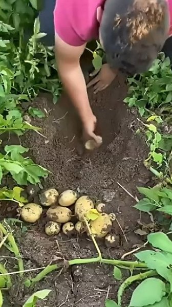     - 2