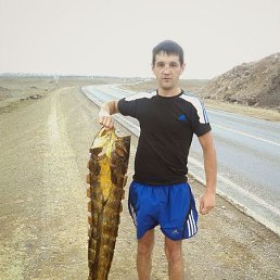 , 41, 